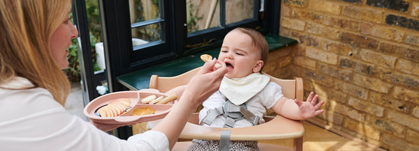 Curbing the Chaos: Toddler Mealtime Tips