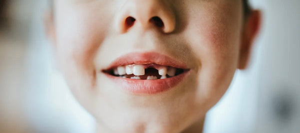 The Tooth Fairy for Toddlers