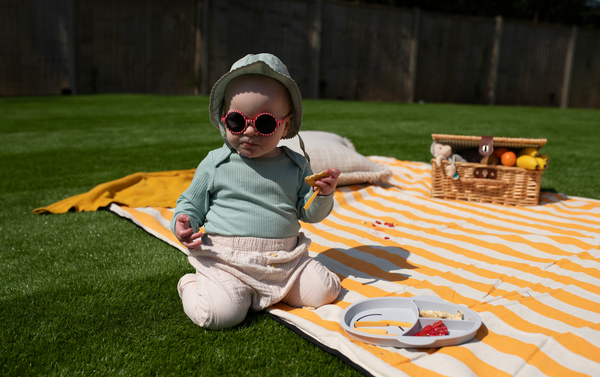 Top Tips for Picnics with Babies