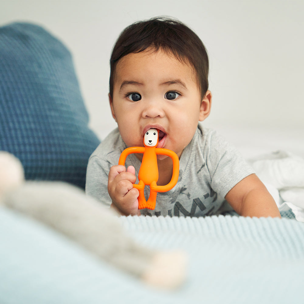 Bramble Bear Teether