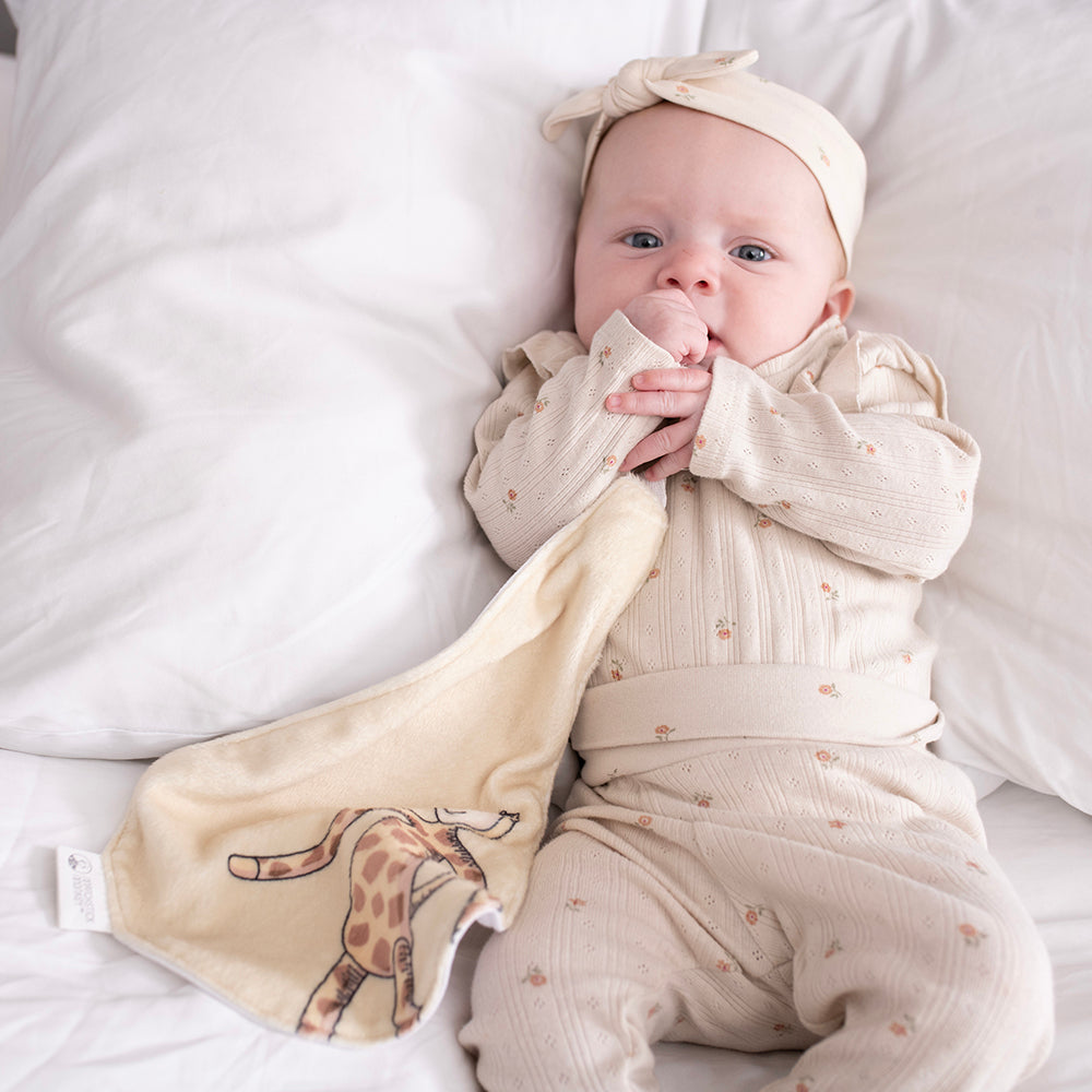 Teething Soother and Comforter Gigi Giraffe - All In One