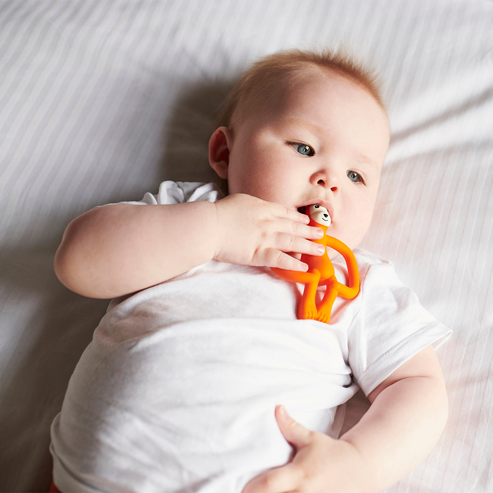 Bramble Bear Teether