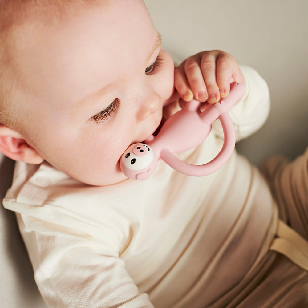 Pickle Pig Teether