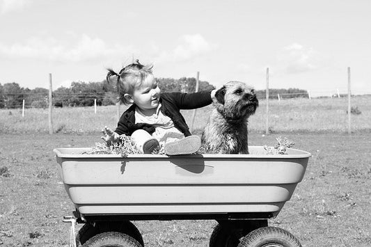 Dog with Toddler