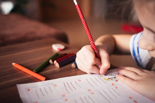 Back to School Child Studying