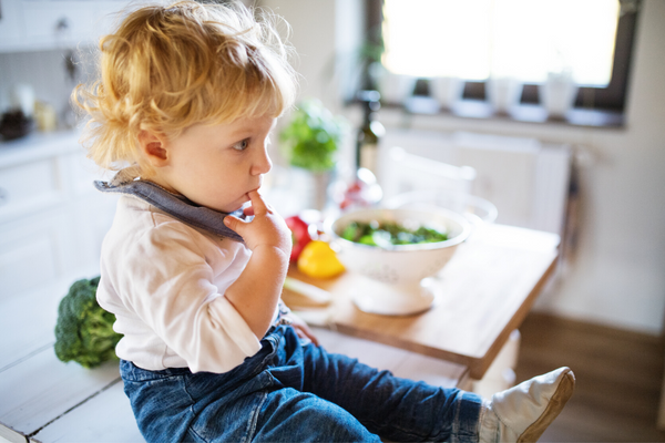 7 Healthy Food Recipes for Toddlers