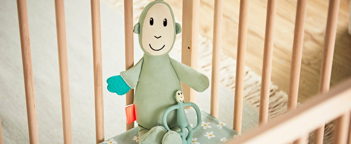 Sensory Teething Teddy Set