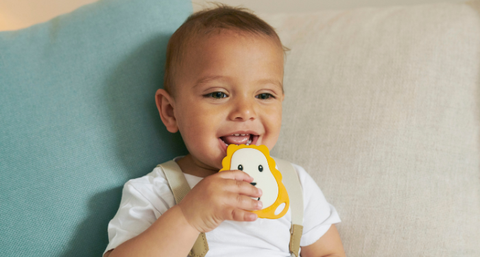 Flat Face Teethers