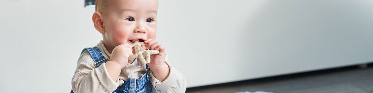 All Teething Toys: Teethers, Toys & Accessories