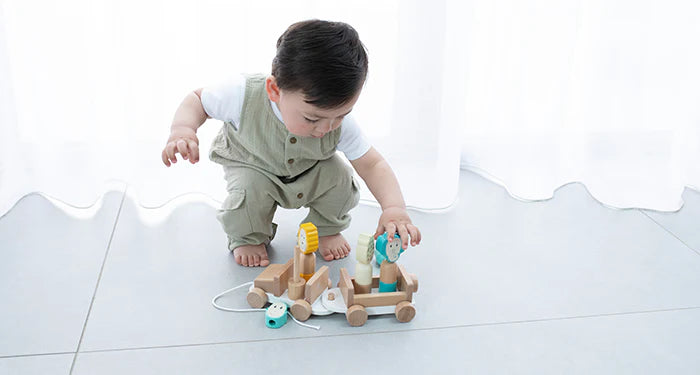 Wooden Pull Along Toy