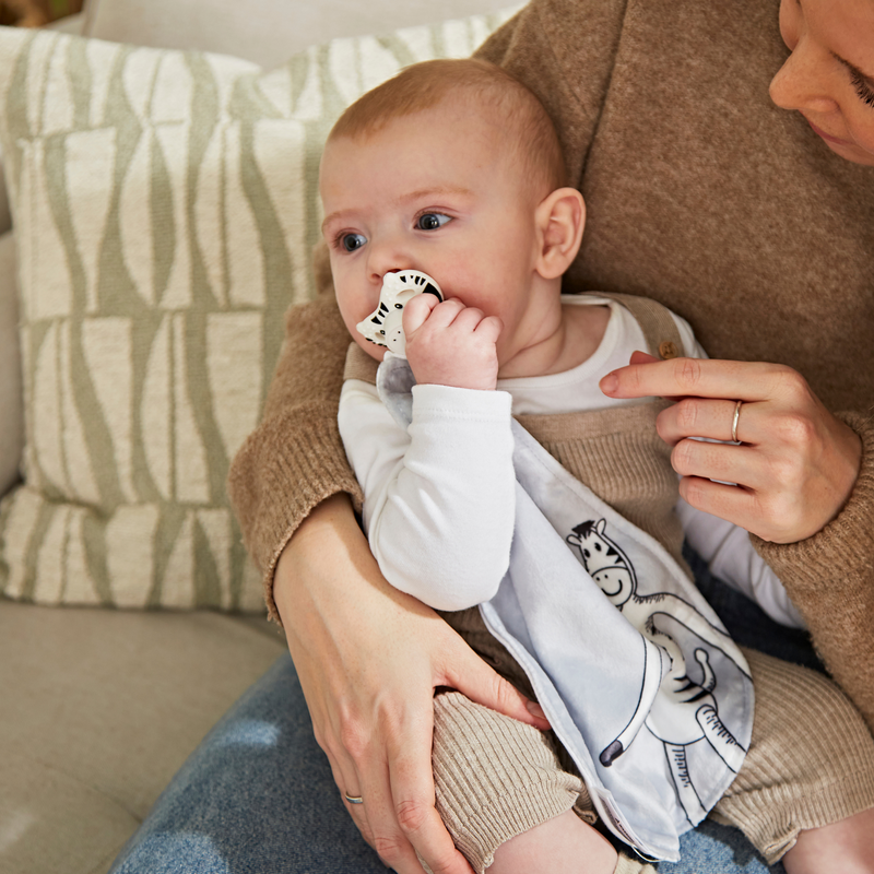 Teething Soother and Comforter Zippy Zebra - All In One