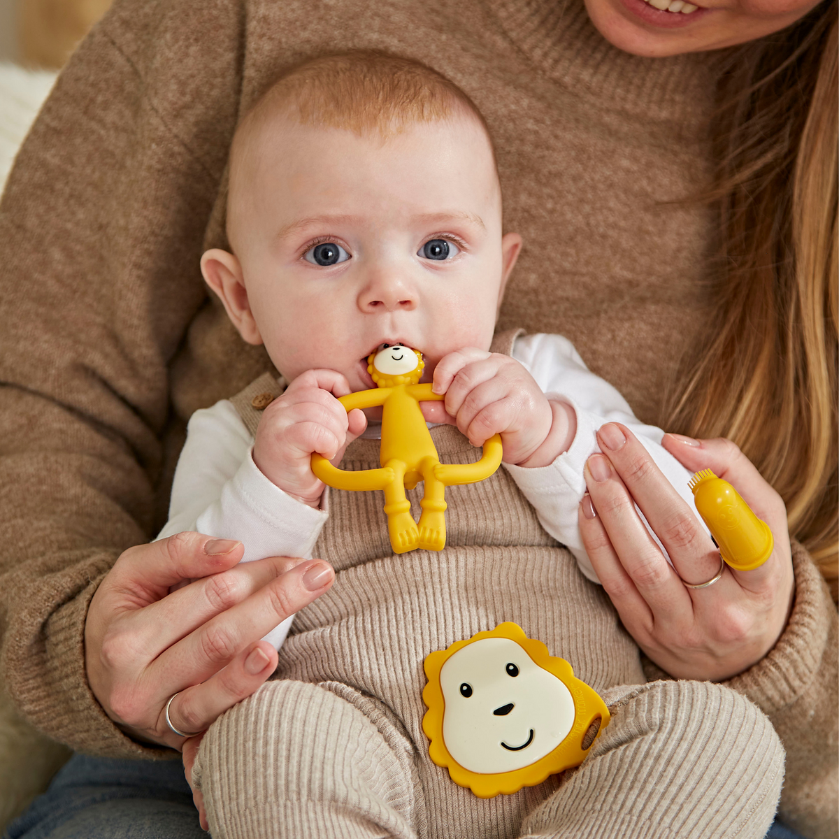 Ludo Lion Teething Starter Set
