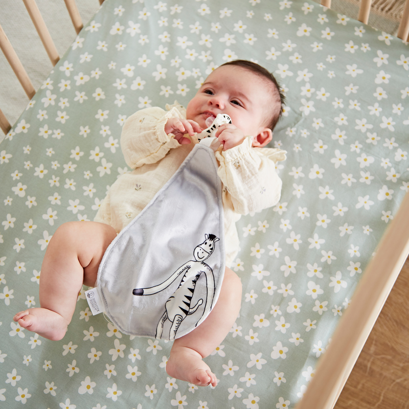 Teething Soother and Comforter Zippy Zebra - All In One