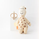 Sensory Teething Teddy Set - Giraffe