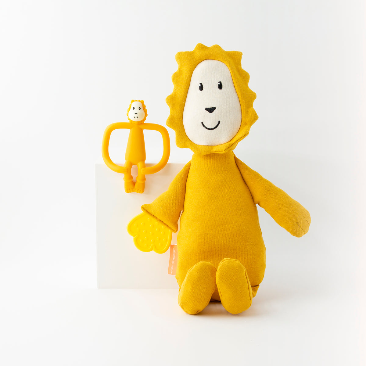Sensory Teething Teddy Set - Lion