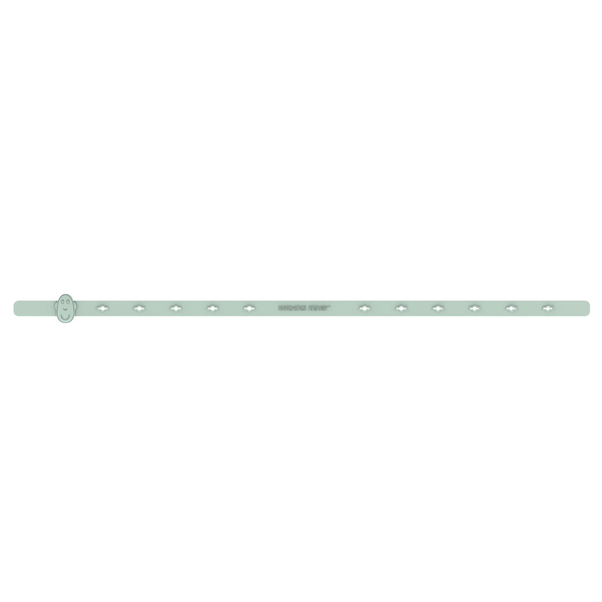 Mint Green Multi-Use Product Holder