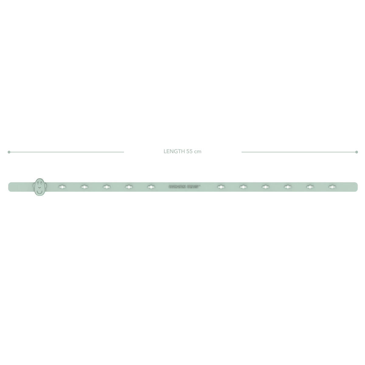 Mint Green Multi-Use Product Holder