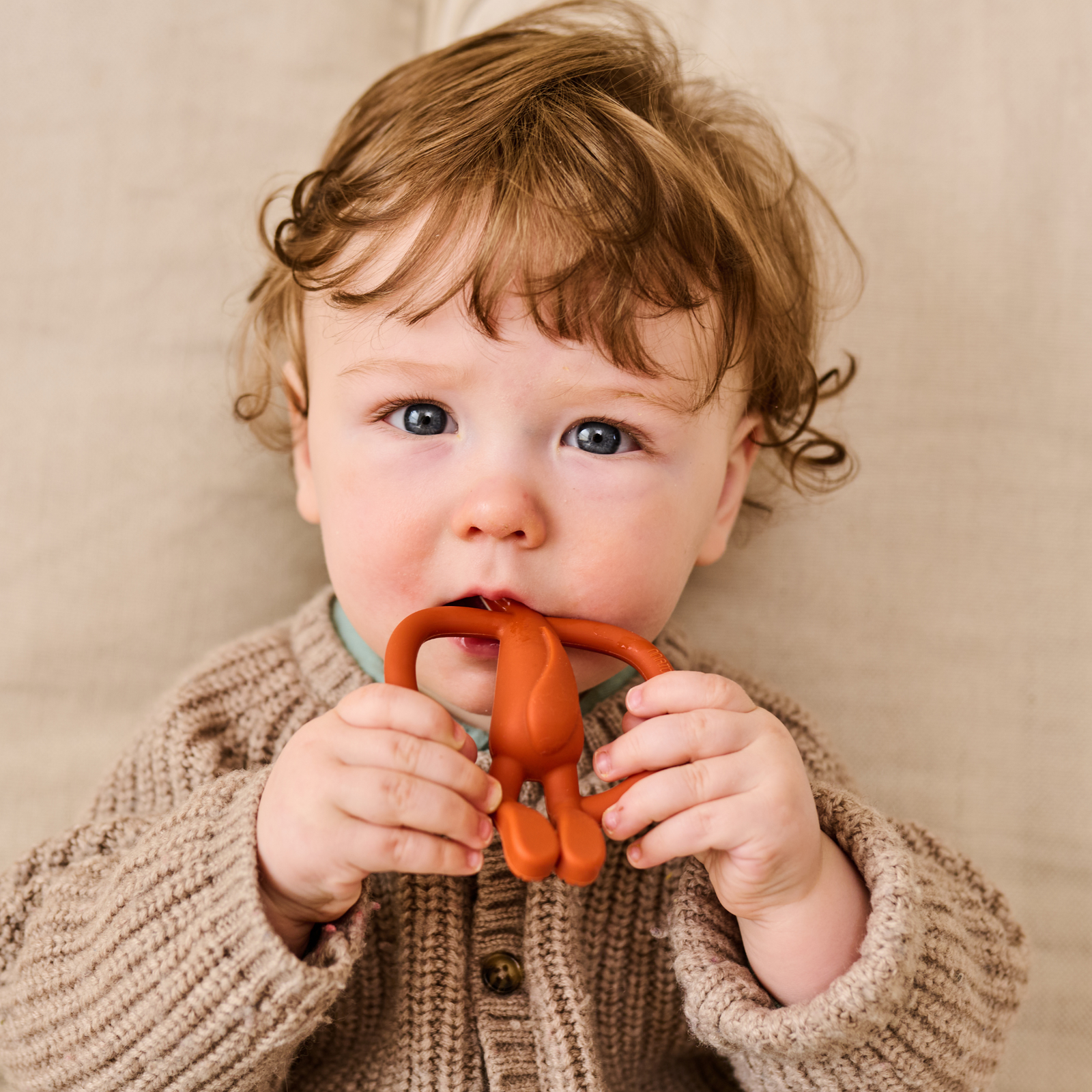 Fudge Fox Teether