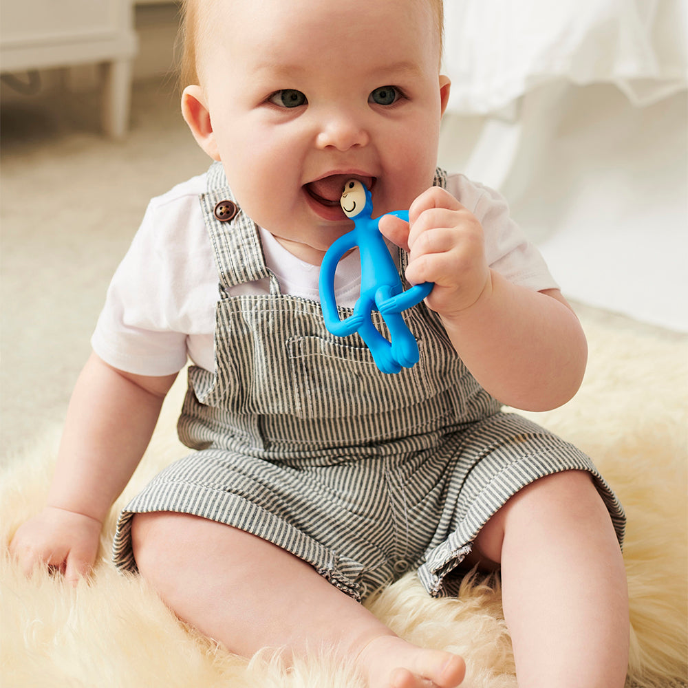 Blue Monkey Teether
