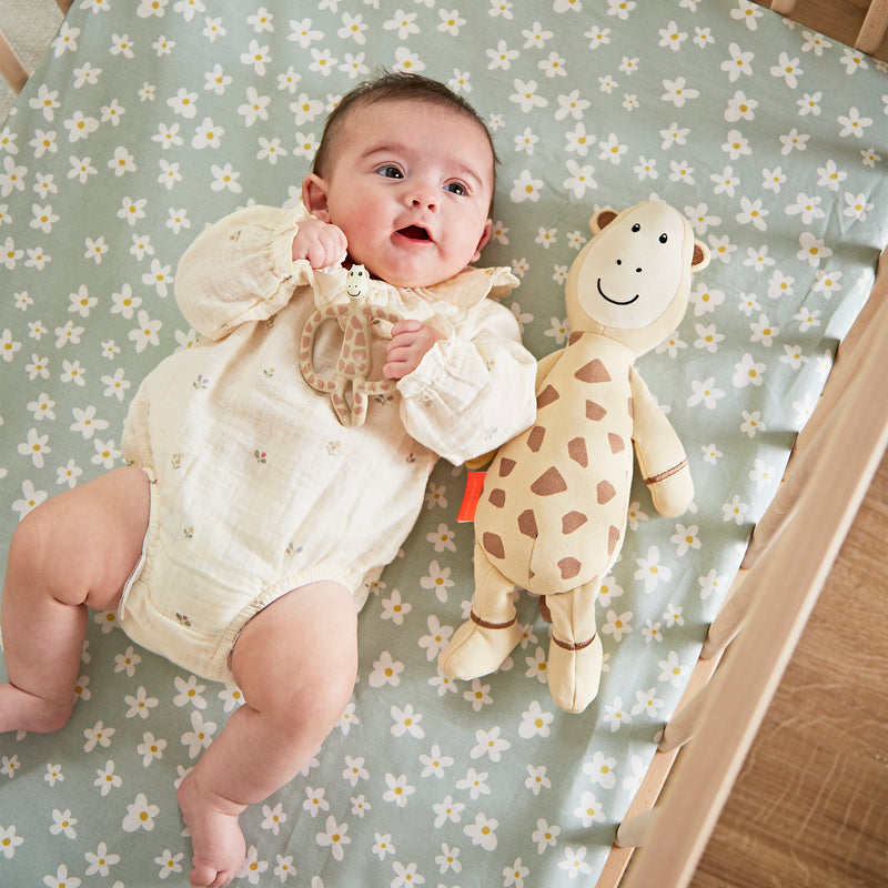 Sensory Teething Teddy Set - Giraffe