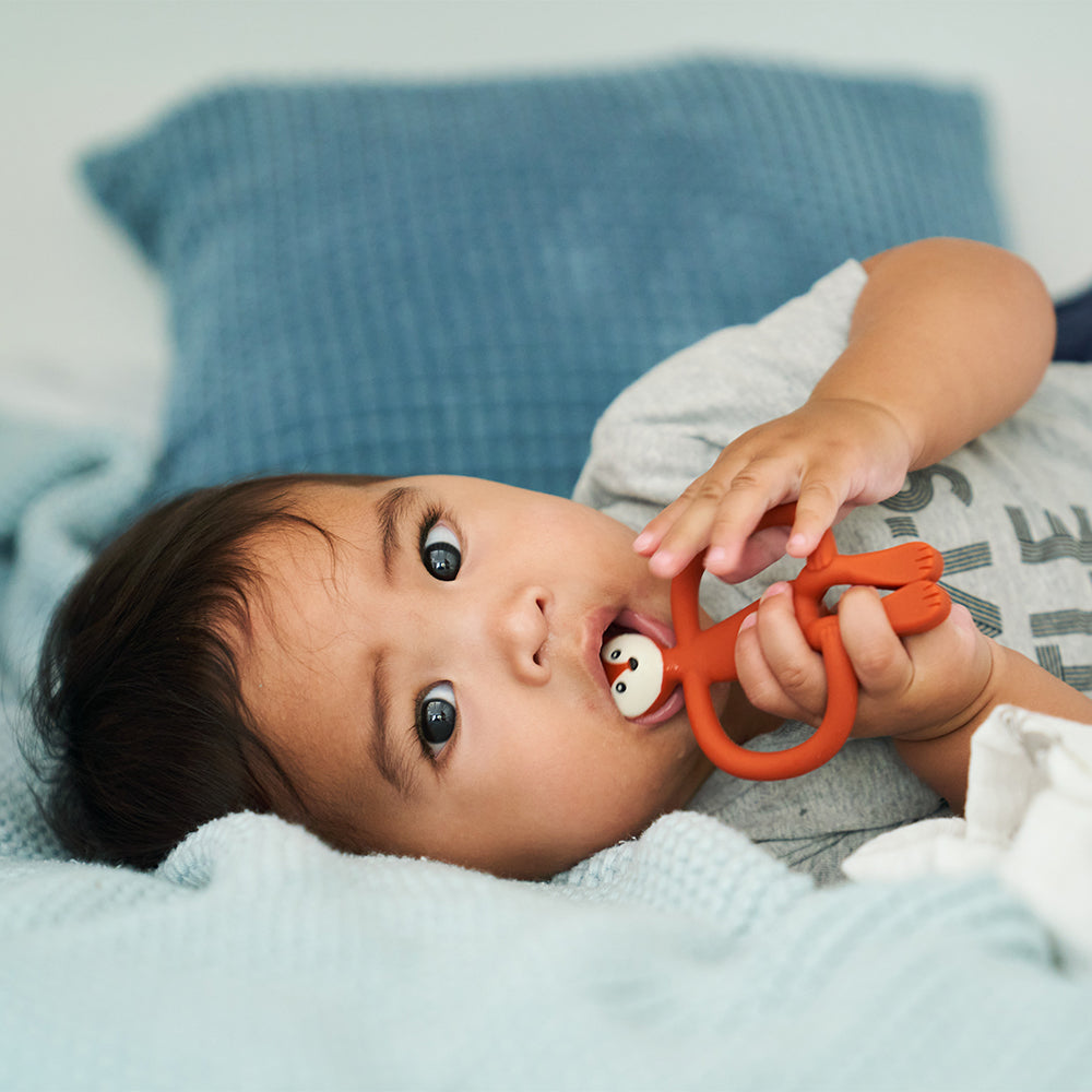 Fudge Fox Teether