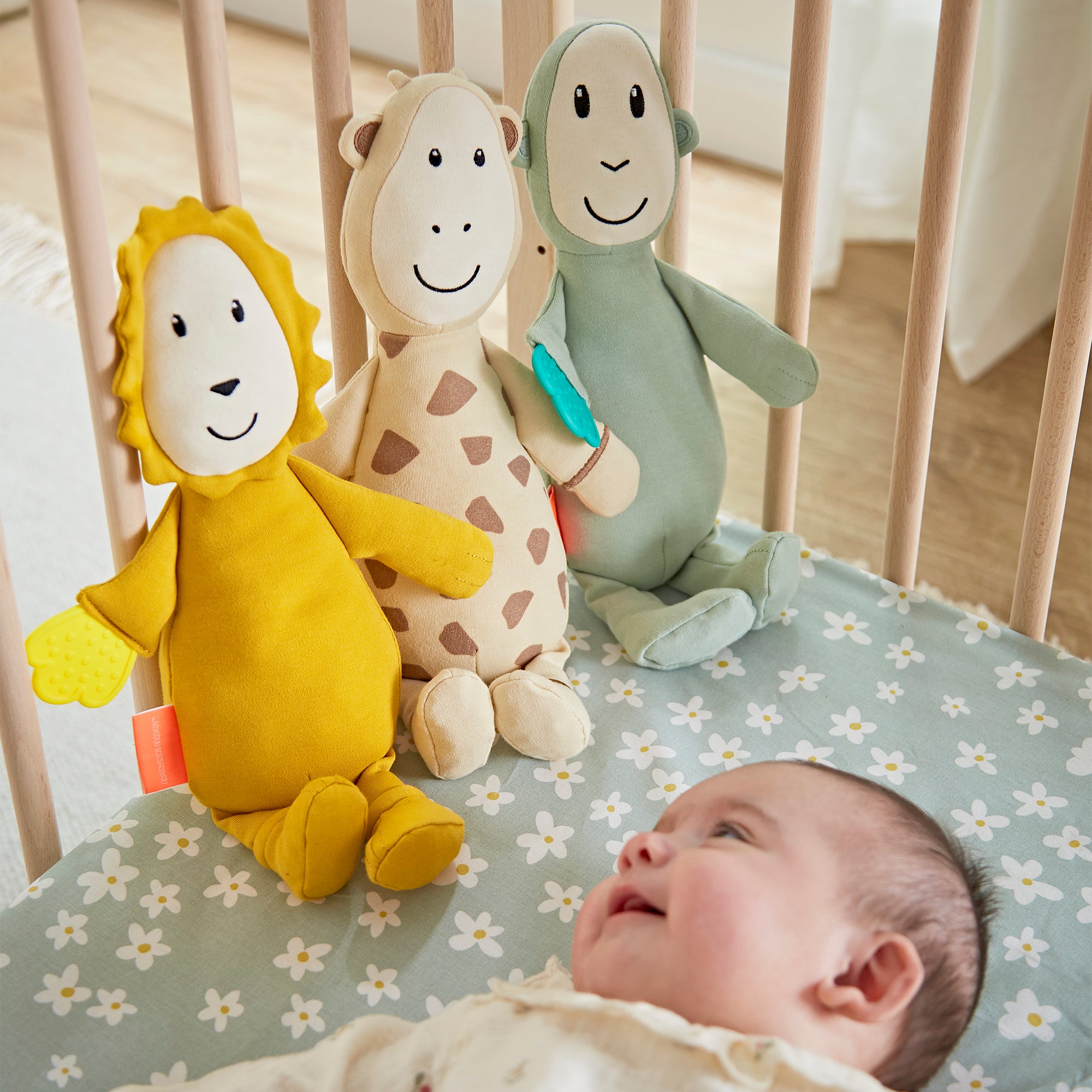 Sensory Teething Teddy Set - Lion