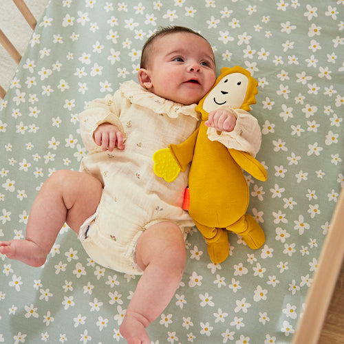 Sensory Teething Teddy Set - Lion