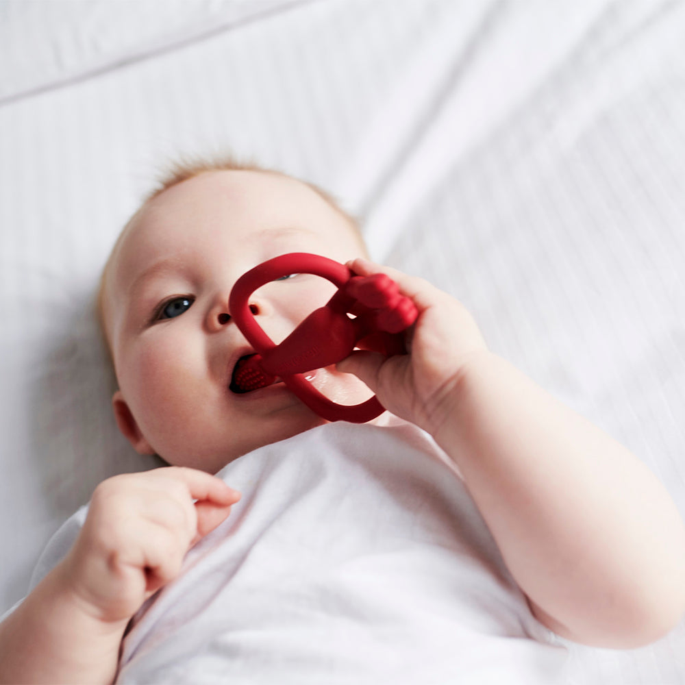 Red Monkey Teether