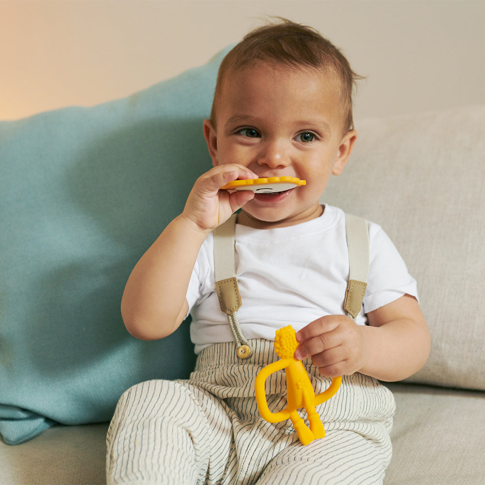 Ludo Lion Teething Starter Set