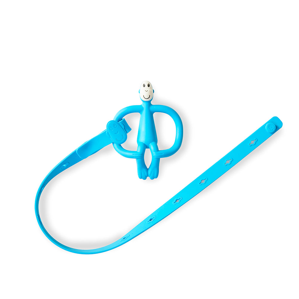 Blue Multi-Use Product Holder