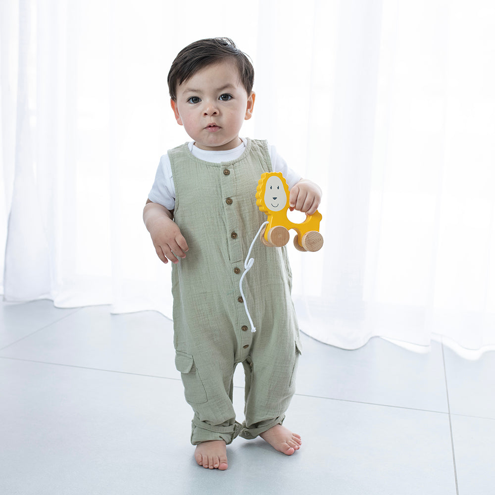 Wooden Pull Along Toy Lion
