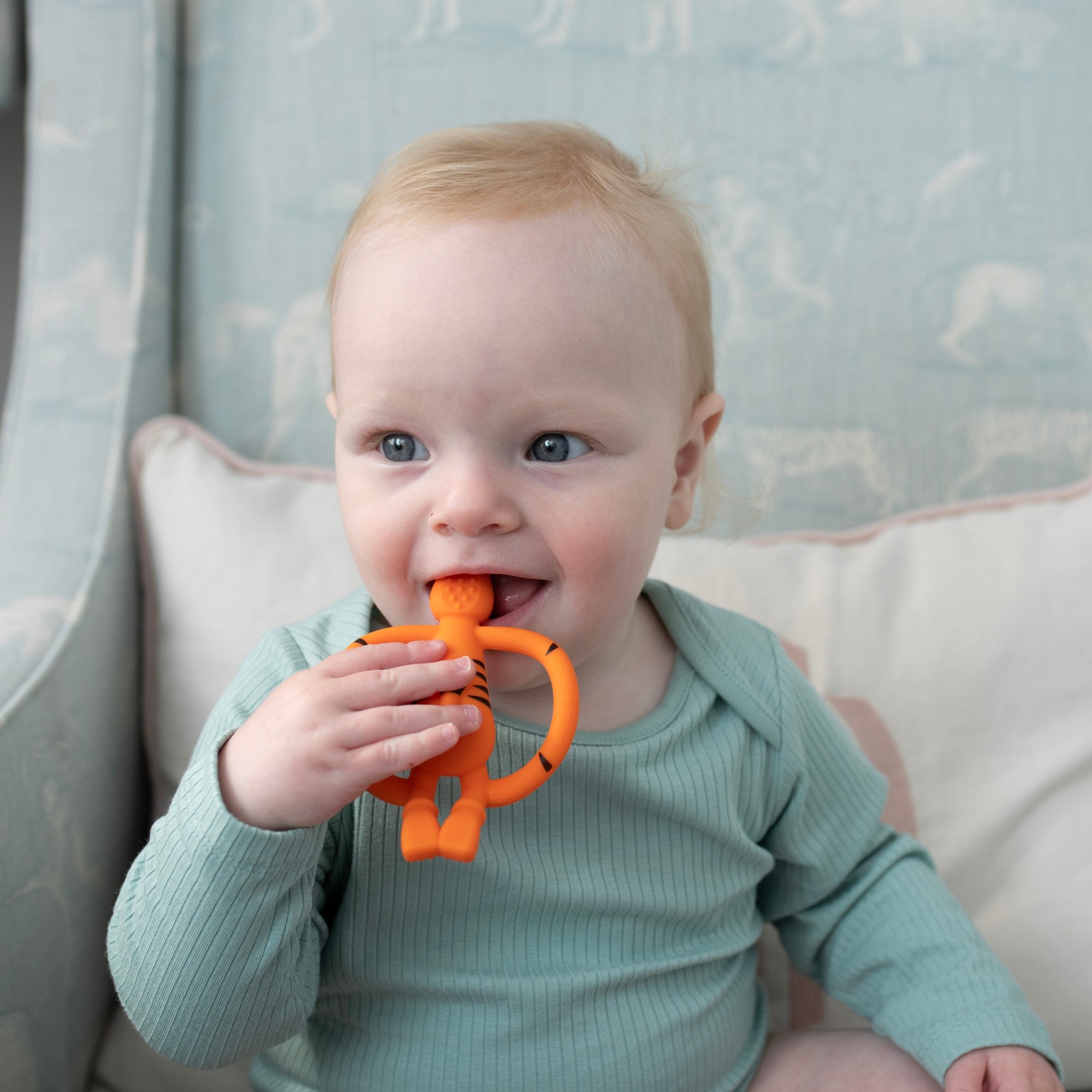 Teddy Tiger Teether