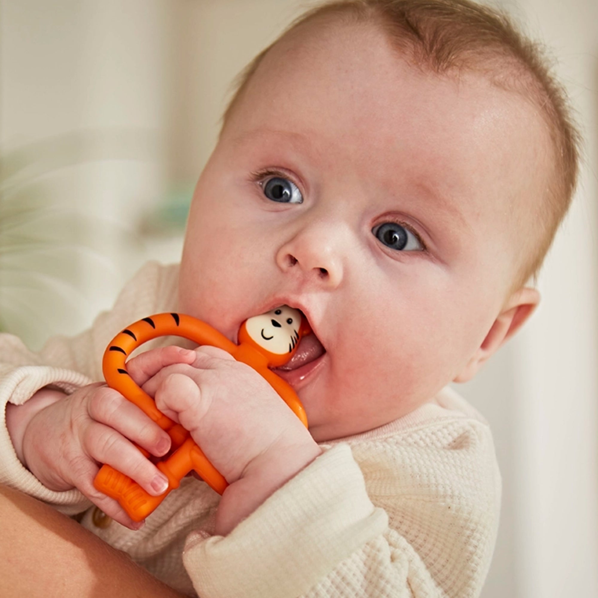 Tiger Teething Gift set